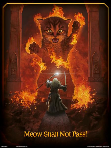 Meow Shall Not Pass 30 x 40cm Collector Print